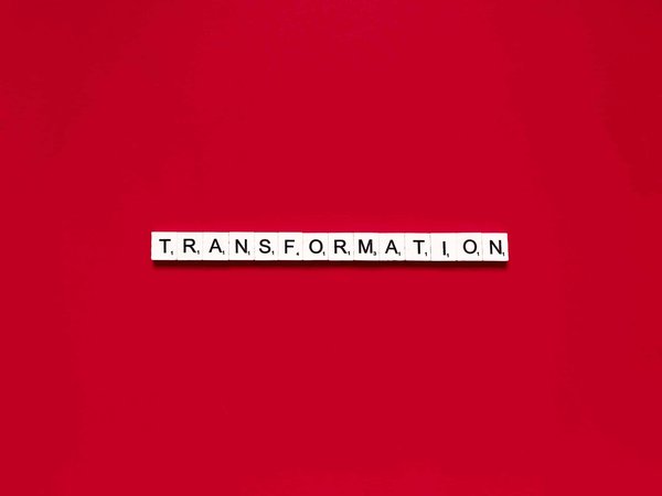 Quelles stratégies pour transformer votre entreprise en organisation apprenante ?